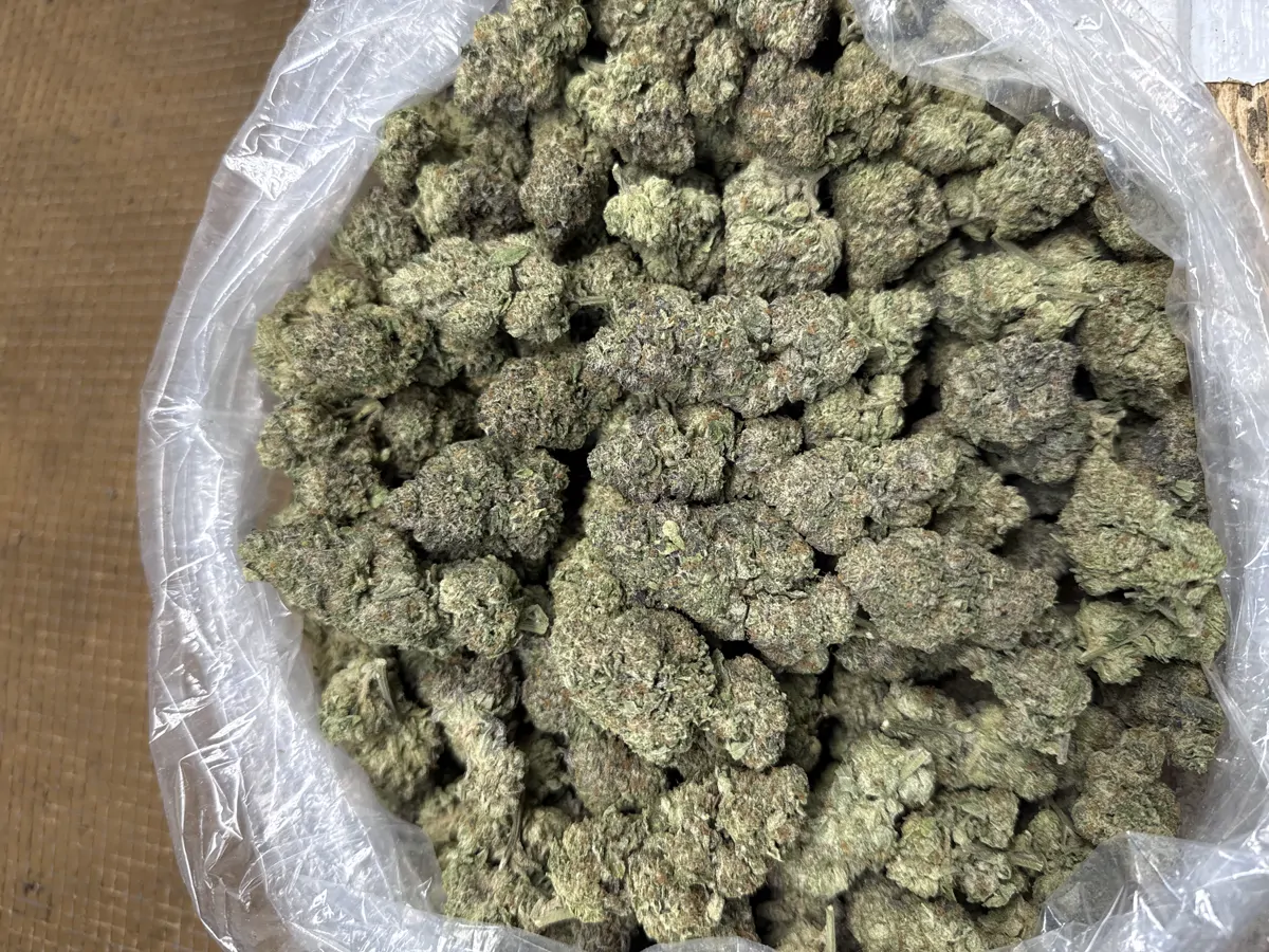 Blueberry Cupcake Flower